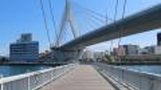 青森ベイブリッジの下