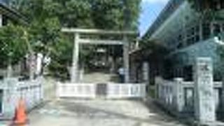 大きな樹木が生い茂る参道や境内