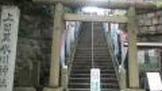 急峻な石段の上には目黒富士があります