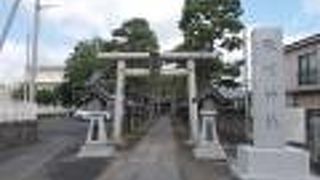 東武スカイツリーラインの竹ノ塚駅から東のエリアにあります。