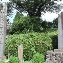 公園の片隅で②