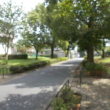 左右が公園です。