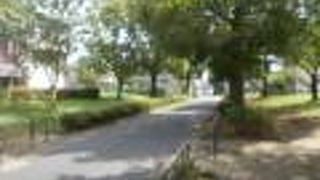 東武スカイツリーラインの西新井駅から東に5分強の場所にあります。