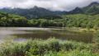 まさに高原の池といった趣