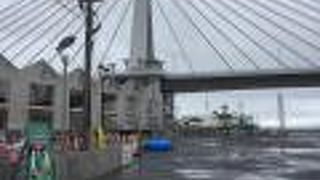 どこから上がればいいのか分からず・・・