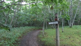 一番景色が良かったです