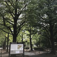 みどりも豊かな公園