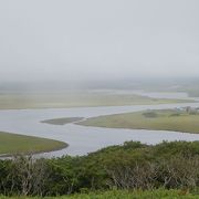 これぞ湿原という景観