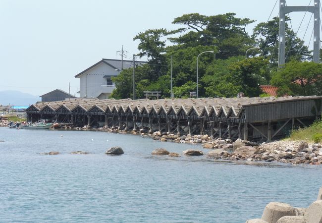 舟小屋群の先の松原