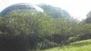 雨でも楽しめる