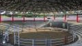 闘牛が行われる施設です