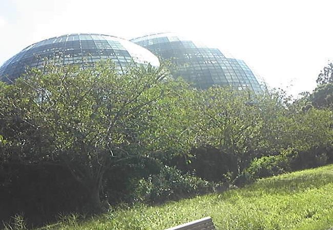 東京都夢の島熱帯植物館 クチコミ アクセス 営業時間 有明 新木場 フォートラベル 東京都夢の島熱帯植物館 クチコミ アクセス 営業時間 有明 新木場 フォートラベル