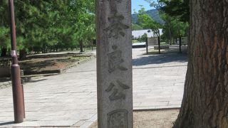 静かなり奈良公園