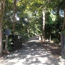 入り口の様子です。南側です。