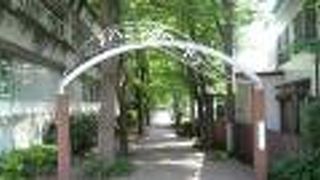 初夏の頃は新緑の中で静かに散歩を楽しめます