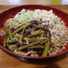 冷やし山菜うどん