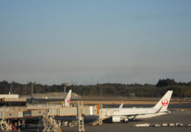 千葉県の名所 史跡 クチコミ人気ランキングtop40 フォートラベル