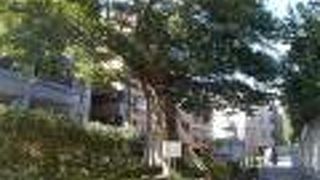 地下鉄東京メトロ有楽町線江戸川橋駅から北東のエリアにあります。