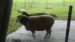 がっかりスポットかも