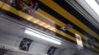 海が見えます。