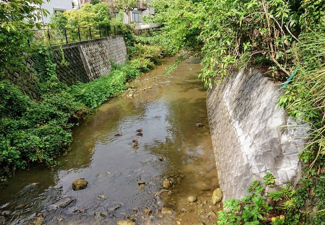 滑川 クチコミ アクセス 営業時間 鎌倉 フォートラベル 滑川 クチコミ アクセス 営業時間 鎌倉 フォートラベル