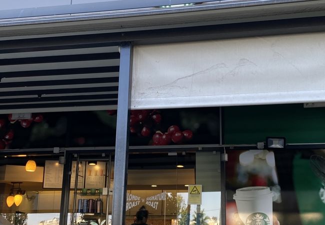 日曜日もやってる！？数少ないスタバ