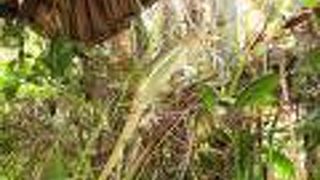 ホテル フェオニ アラ