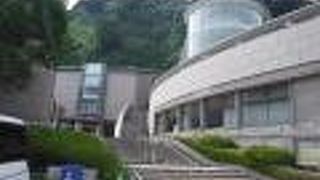鹿児島の近代文学