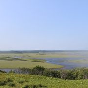 釧路湿原以上かも？