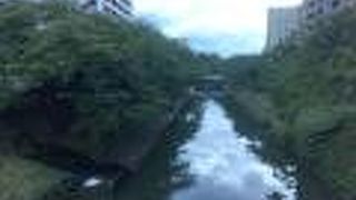 緑が多く木陰が心地よい