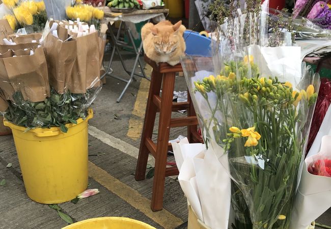 花の香りに癒されます