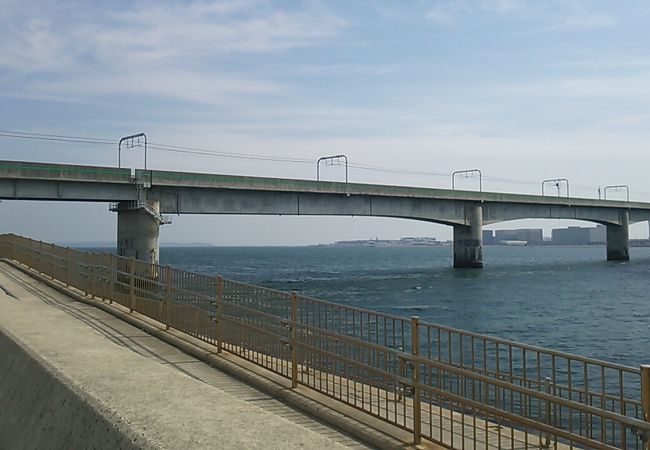 護岸からは海と橋の景色のコントラストが綺麗でした