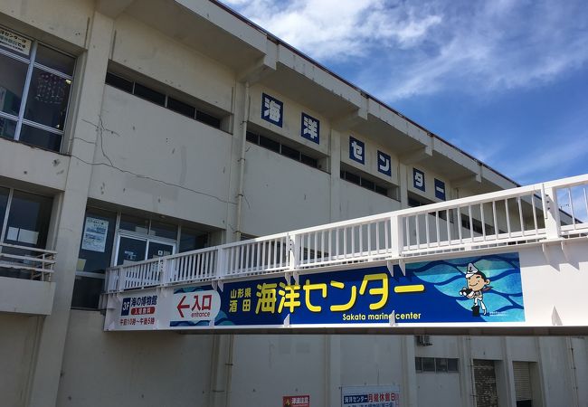 酒田海洋センター クチコミ アクセス 営業時間 酒田 フォートラベル 酒田海洋センター クチコミ アクセス 営業時間 酒田 フォートラベル