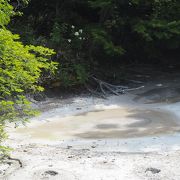 遊歩道沿いにある