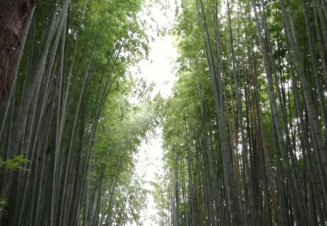 サムライの古径ひよどり坂 クチコミ アクセス 営業時間 佐倉 四街道 フォートラベル サムライの古径ひよどり坂 クチコミ アクセス 営業時間 佐倉 四街道 フォートラベル