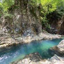 驚きの青さ(もちろん加工なしです)