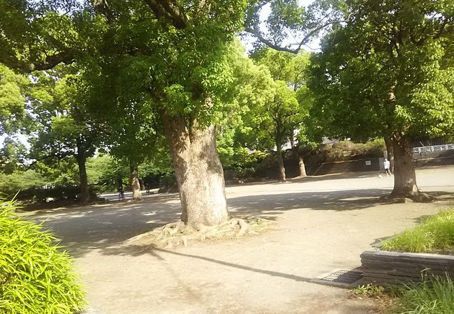 等々力緑地 クチコミ アクセス 営業時間 溝の口 武蔵小杉 フォートラベル 等々力緑地 クチコミ アクセス 営業時間 溝の口 武蔵小杉 フォートラベル
