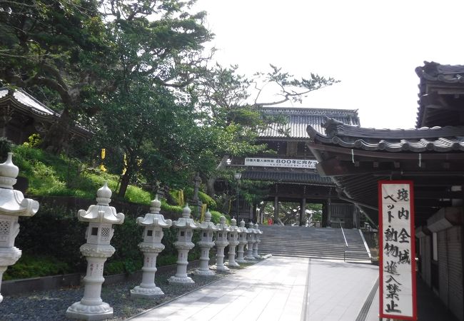 誕生寺 千葉県鴨川市 クチコミ アクセス 営業時間 鴨川 フォートラベル 誕生寺 千葉県鴨川市 クチコミ アクセス 営業時間 鴨川 フォートラベル