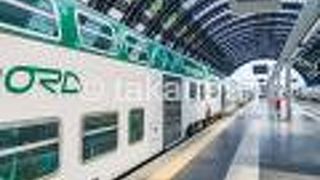 自動券売機から出てくるチケットは、トレニタリアの標準のデカい奴じゃなくて、クレカくらいの大きさのです。