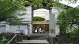 ミュージアムショップあるよ