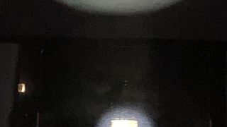 金印だけではない