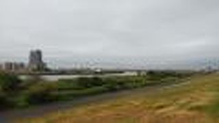 多目的に利用されています。