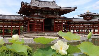 タイミングが合えば綺麗に撮れます