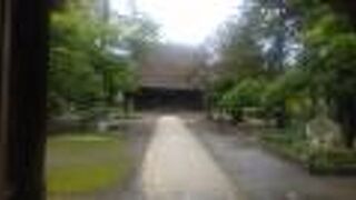 雑木林は国指定天然記念物