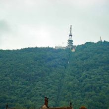 山頂付近に展望台があります