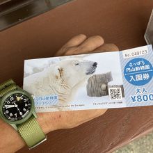 ホッキョクグマ～恐ろしくて苦手です