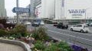 彩りが楽しめます