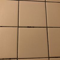 風呂の壁には黒カビ