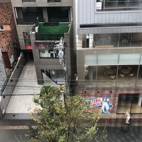 台風で枝が折れそう