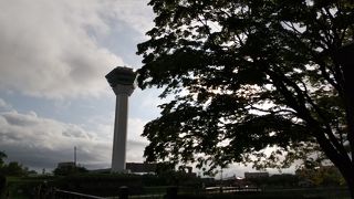 迫力ある五稜郭を一望